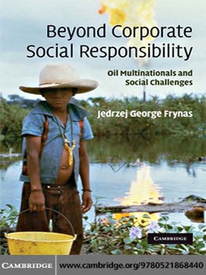 cover image of Beyond Corporate Social Responsibility